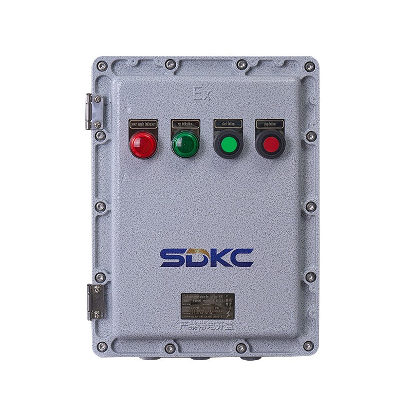 Explosion-proof Wall-mounted Distribution Box